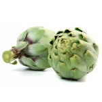 Egyptian Artichoke