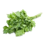 Egyptian Celery