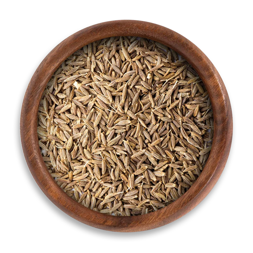 Cumin Seeds Egyptian Cumin Seeds - Image 1