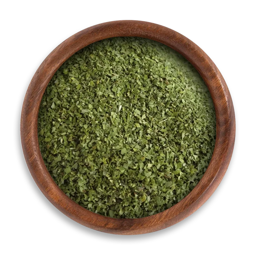 Moringa Egyptian Moringa - Image 1