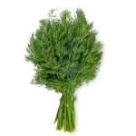Egyptian Dill