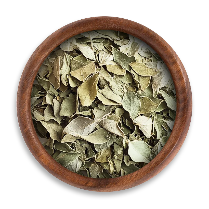 egyptian Alexandrea leaves Egyptian Alexandrea leaves (Senna) - Image 1