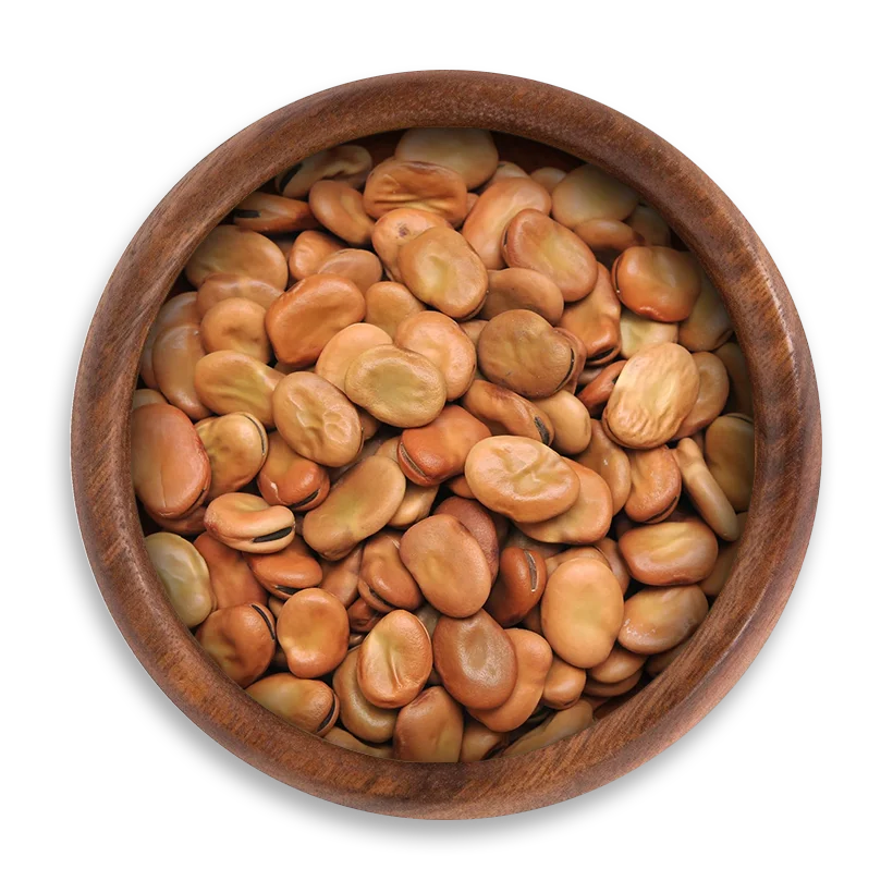 egyptian FAVA Beans Egyptian FAVA Beans - Image 1