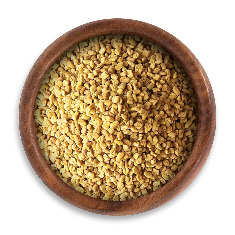 egyptian Fenugreek seeds Egyptian Fenugreek seeds - Image 1