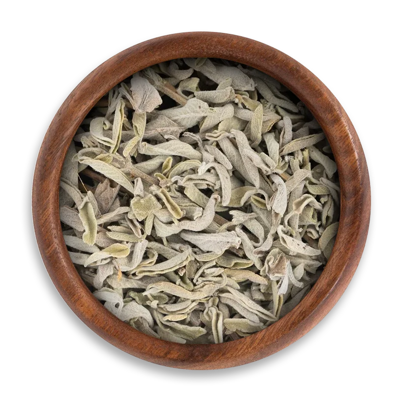 egyptian Sage Egyptian Sage - Image 1