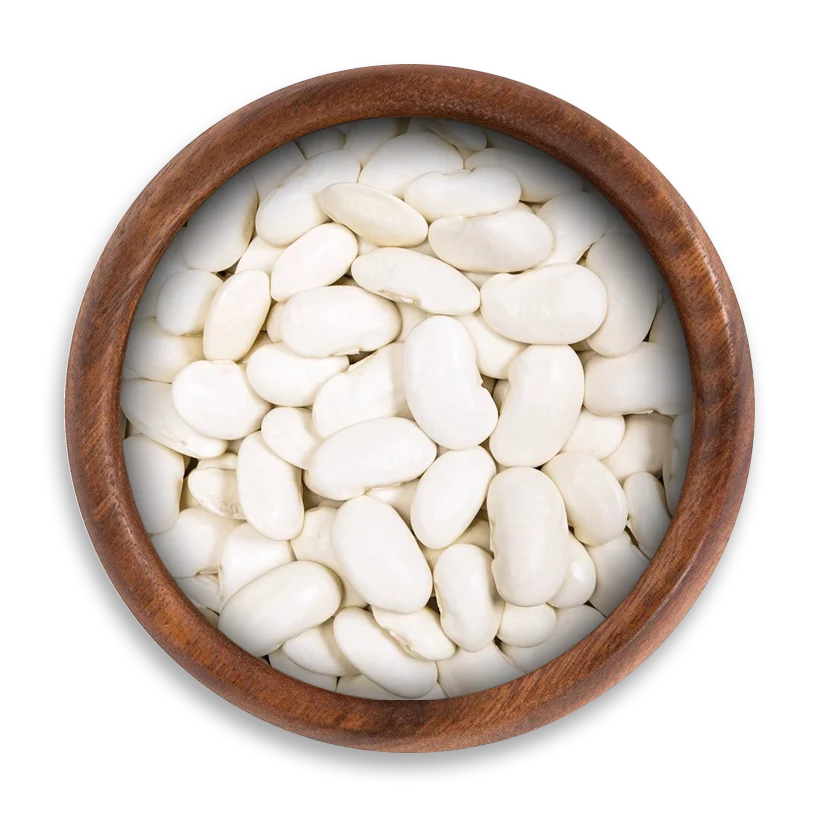 egyptian White Beans Egyptian White Beans - Image 1